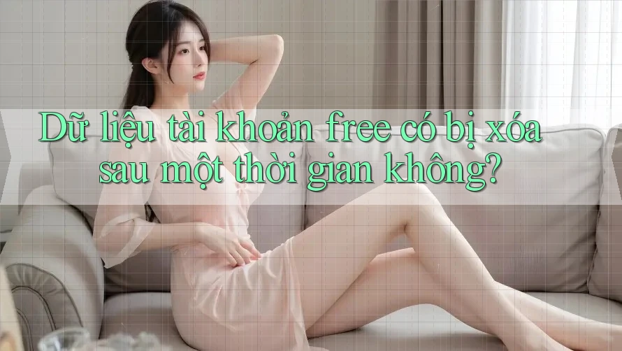 Dữ liệu tài khoản free có bị xóa sau một thời gian không? Dữ liệu tài khoản free có bị xóa sau một thời gian không?