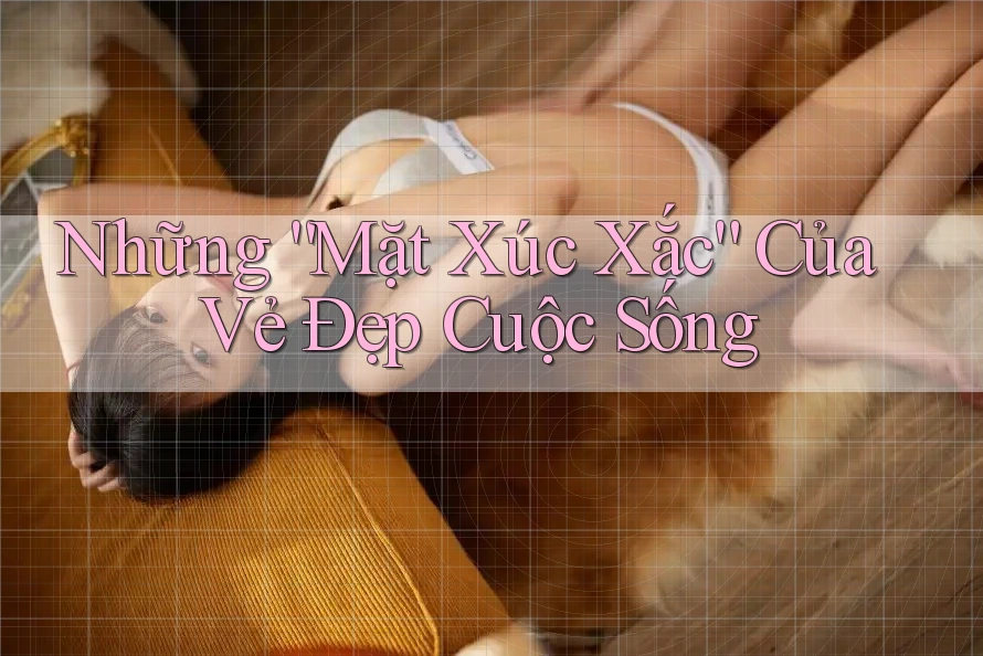Những “Mặt Xúc Xắc” Của Vẻ Đẹp Cuộc Sống Những “Mặt Xúc Xắc” Của Vẻ Đẹp Cuộc Sống