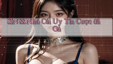 sin88  nhà cái uy tín cược đá gà