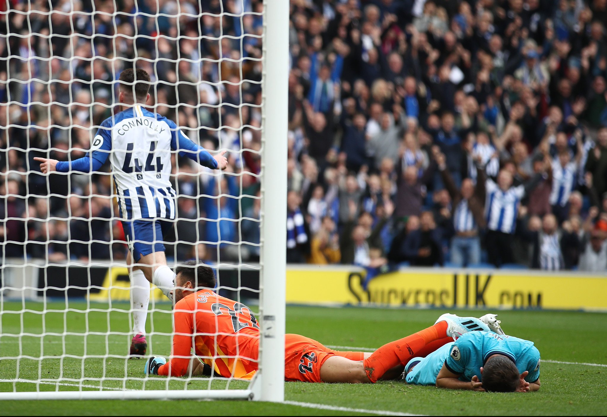 起了广泛的 起了广泛的